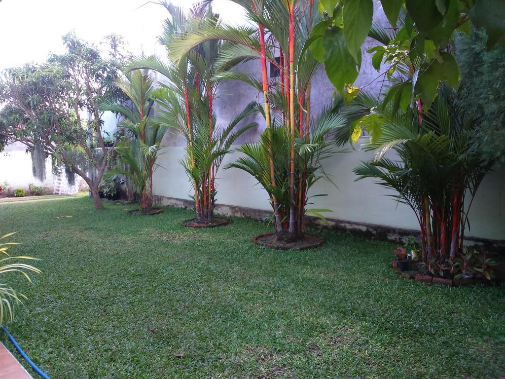 Illumination Stay Negombo Buitenkant foto